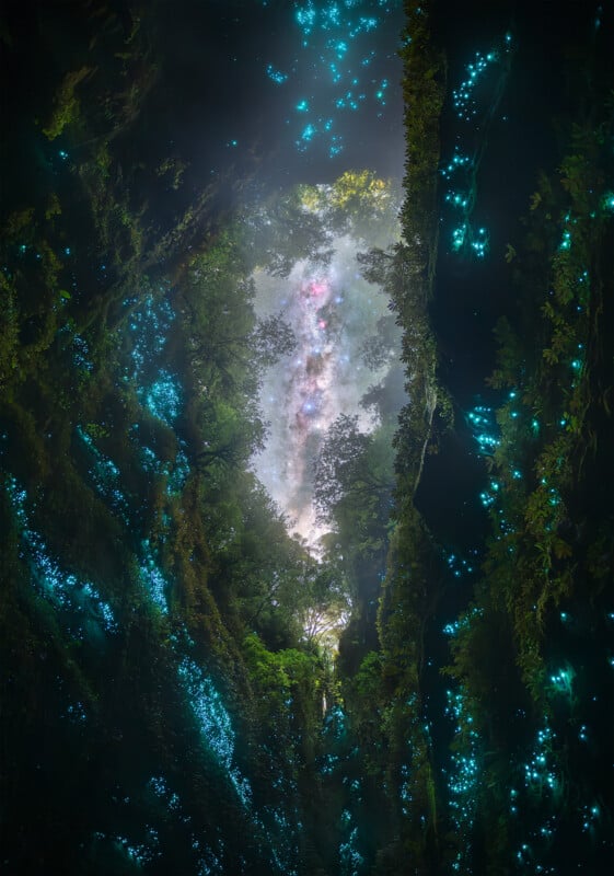 A view looking up from a dense, lush forest illuminated by glowing blue bioluminescent organisms, revealing a clear night sky with stars and the Milky Way visible through the opening in the trees.