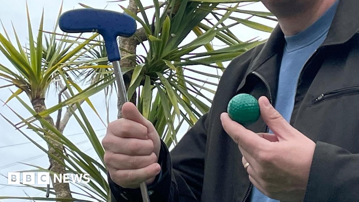 A large green lawn in Ipswich's Christchurch Park which is surrounded by hedges and woodland.