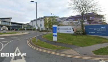 The outside of a hospital building - on the left, there is a glass-fronted building with a large sculpture outside it that looks like a dandelion. In front of the sculpture is a roundabout. There are more hospital building to the right, and fencing and green grass with a blue sign that reads "NHS, The Robert Jones and Agnes Hunt Orthopaedic Hospital"