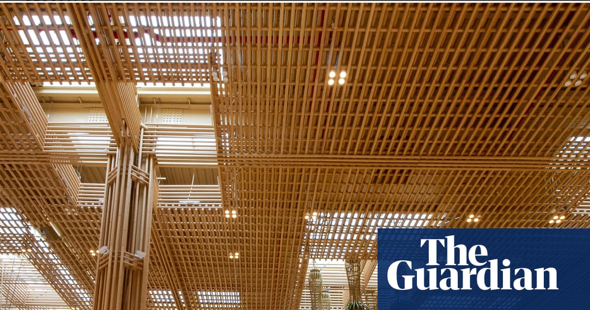 Schools, airports, high-rise towers: architects urged to get ‘bamboo-ready’ | Green building