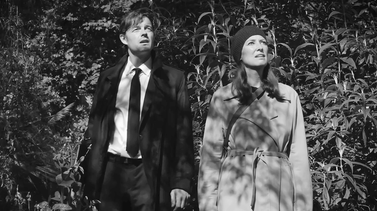 Bulk review — can you really make a sci-fi film in a suburban semi?