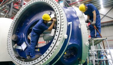 PM delays decision on Chinese-built wind farm factory