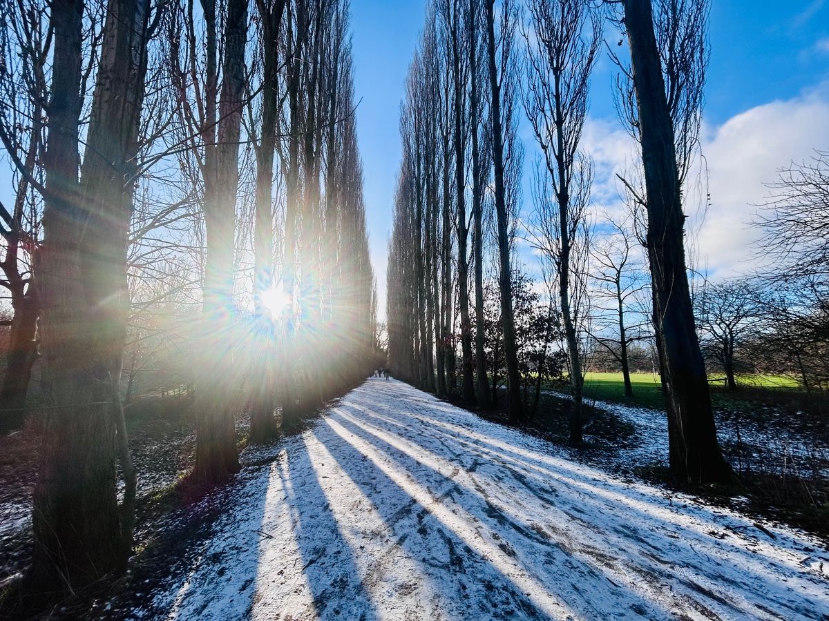 Fletcher Moss Park & Parsonage Gardens, Didsbury