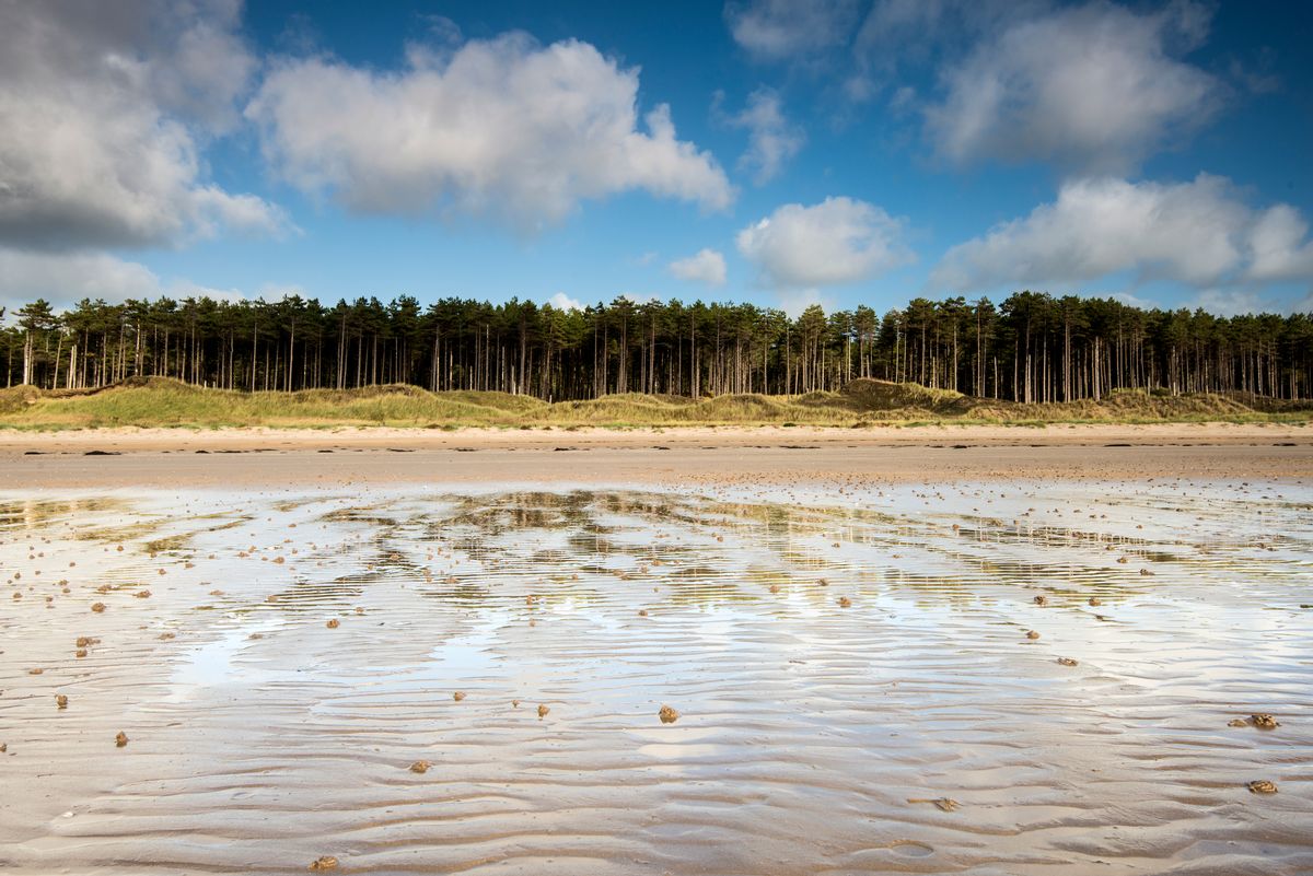 Beautiful Newborough Forest was also used for filming