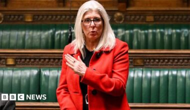 Dr Allison Gardner - a woman with long blonde hair and wearing a red jacket - stands and speaks in the House of Commons