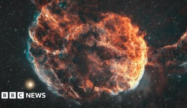 The Jellyfish Nebula is a circular ball of brightly coloured gases. It has elements of red, blue, black and orange and is set in a night sky spotted with stars.