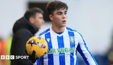 Harry Amass in action for Sheffield Wednesday