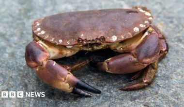 Millie Bobby Brown and David Harbour in character as Eleven and Jim Hopper. Eleven wears red shorts over grey leggings and a grey jumper. Jim Hopper wears a black leather jacket, a black beanie hat and dark trousers.They are speaking to director Frank Darabont on the set of Stranger Things. There is a vintage advertisement posted in the background with debrief on the ground.