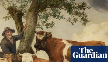‘Bigger and lower’: bull in Dutch painting once had much larger testicles | Netherlands