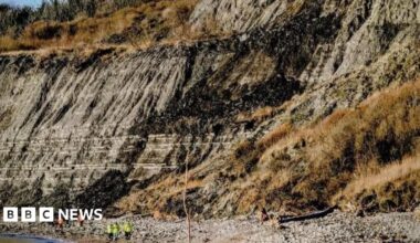 A view of cliffs at Monmouth Beach, with grey exposed mud and rock with people in hi-vis vests standing on the beach