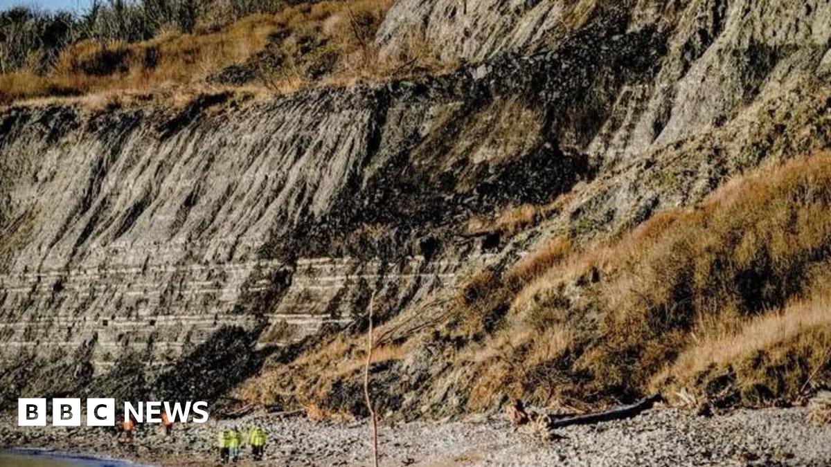 A view of cliffs at Monmouth Beach, with grey exposed mud and rock with people in hi-vis vests standing on the beach