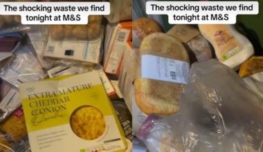 Editor's picks: Nutrient profiling, TikTok and M&S Food waste | Comment & Opinion