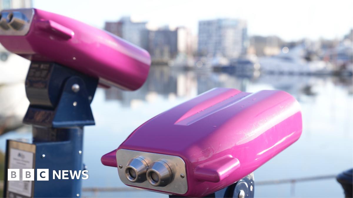 Two brightly coloured binoculars, with purple tops on blue stands, by a waterfront. They are facing in different directions. The water and building behind them is slightly blurred.
