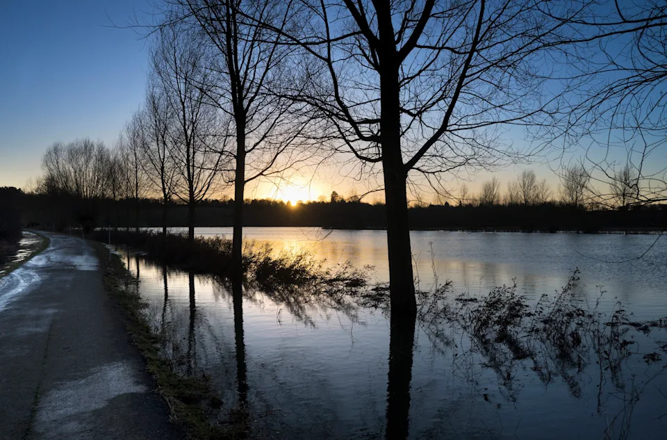 Line of trees silhouetted by winter sun in Radley Village, Oxfordshire, after heavy flooding. (Photo by: Planet One Photos/UCG/Universal Images Group via Getty Images)