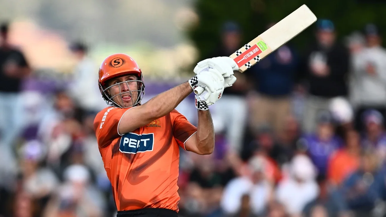 BBL to introduce designated batter in 2026-27 season who won't have to field