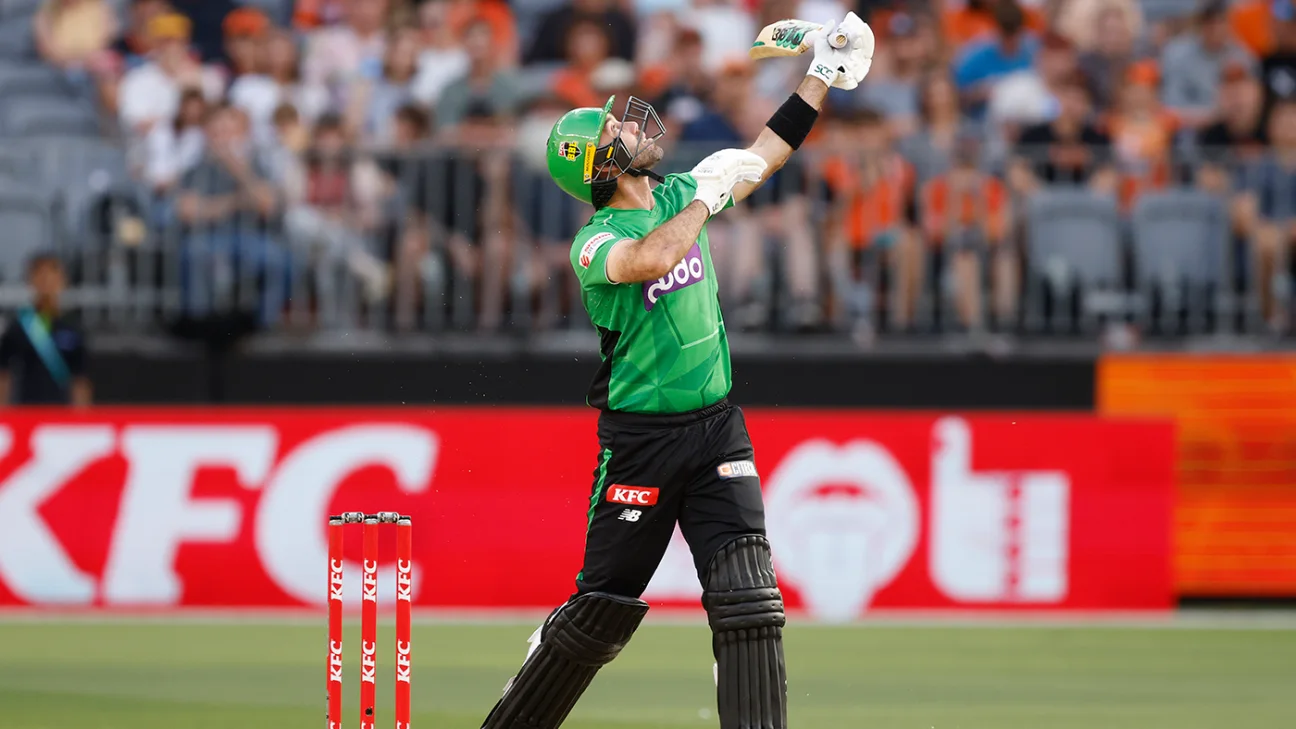 Glenn Maxwell backed to make an impact as Melbourne Stars chase first BBL title