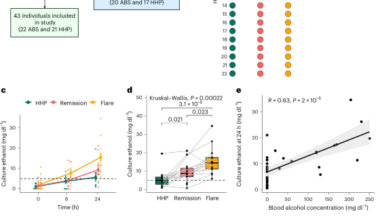 Gut microbial ethanol metabolism contributes to auto-brewery syndrome in an observational cohort