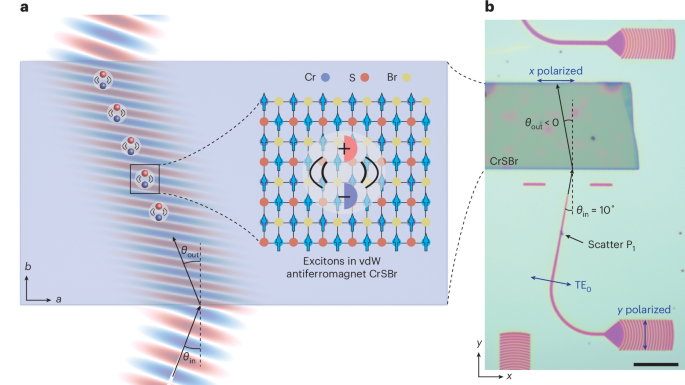 Excitonic negative refraction mediated by magnetic orders