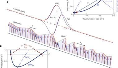 Magnon-Cherenkov effect from a picosecond strain pulse