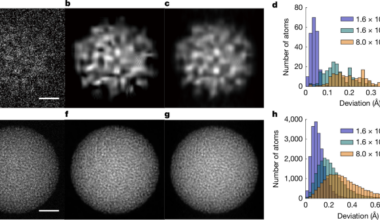 Accurate determination of the 3D atomic structure of amorphous materials