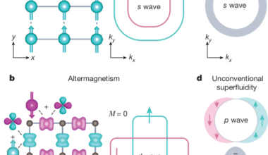 Symmetry, microscopy and spectroscopy signatures of altermagnetism