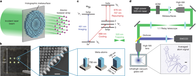 Trapping of single atoms in metasurface optical tweezer arrays