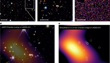 An X-ray-emitting protocluster at z ≈ 5.7 reveals rapid structure growth