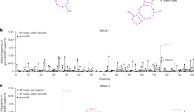 De novo and inherited dominant variants in U4 and U6 snRNA genes cause retinitis pigmentosa