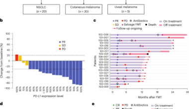 Fecal microbiota transplantation plus immunotherapy in non-small cell lung cancer and melanoma: the phase 2 FMT-LUMINate trial