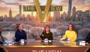 The View fans demand a 'better segment' about protesting - TV - Entertainment