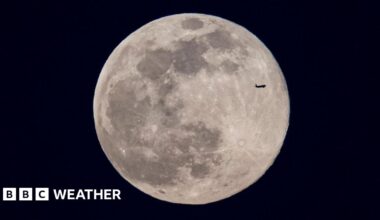 Two birds silhouetted by moonlight with a heart shape formed by their necks and beaks