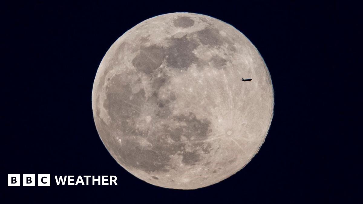 Two birds silhouetted by moonlight with a heart shape formed by their necks and beaks