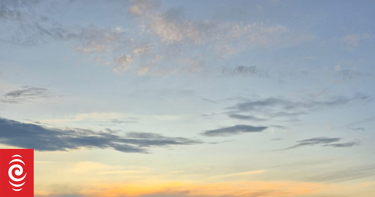 Mass whale stranding on Farewell Spit