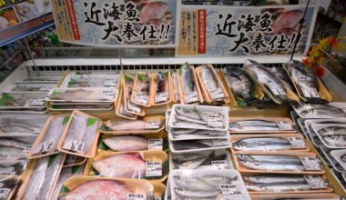 Japanese consumers worried about inflation ahead of general election