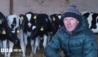 A man crouching down in front of a row of black and white cows. The man is wearing a wooly hat and a dark green coat.