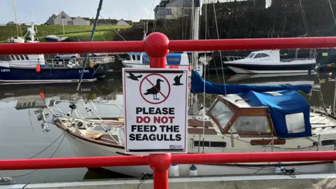 A white sign with 'Please Do Not Feed the Seagulls' in black and red, positioned on red railings in front of boats in a harbour
