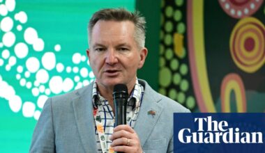 Australia’s Cop31 chief negotiator plans to lobby petrostates on fossil fuel phaseout | Cop31