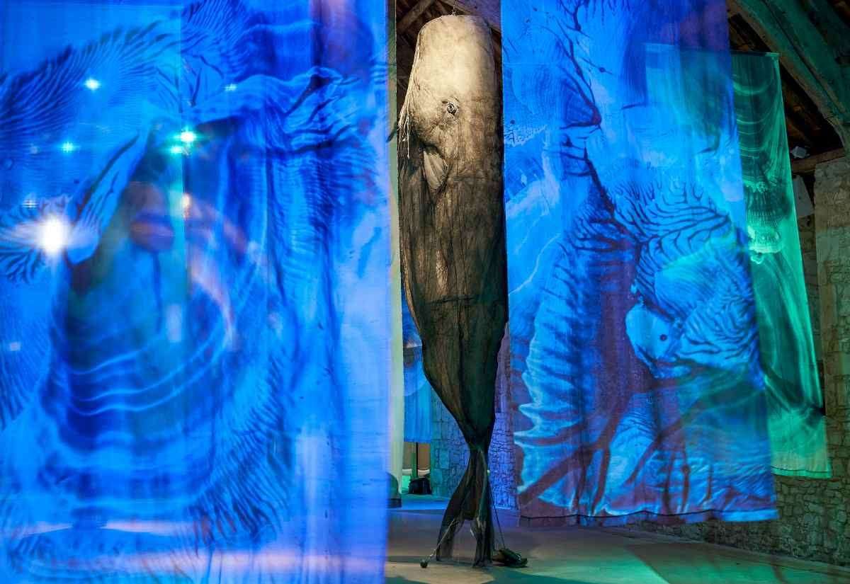 Three giant whale sculptures to hang in Rochester Cathedral as part of climate change installation