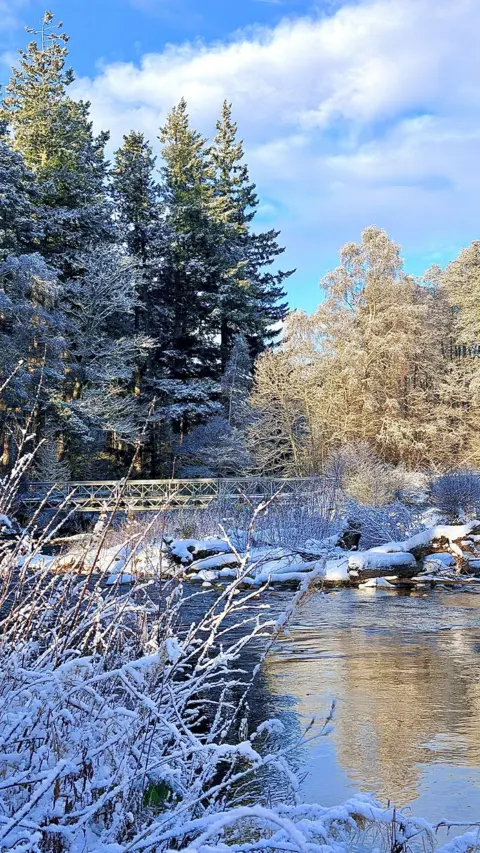 Cate Honey A snowy riverside scene with frosted bushes, evergreen trees, and a wooden footbridge under a bright blue sky.