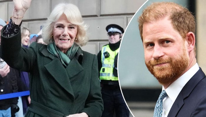 Queen Camilla delivers important message as Harry wraps first day in court