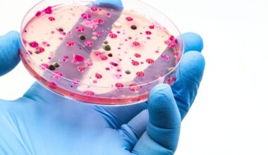 Urgent warning issued as killer fungus spreads round world - 'becoming more infectious'