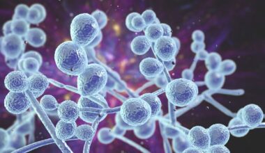 Drug-resistant 'superfungus' sweeps through hospitals as experts issue warning | World | News