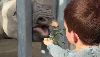 Archie's accent heard in Meghan's Instagram in sweet post | Celebrity News | Showbiz & TV