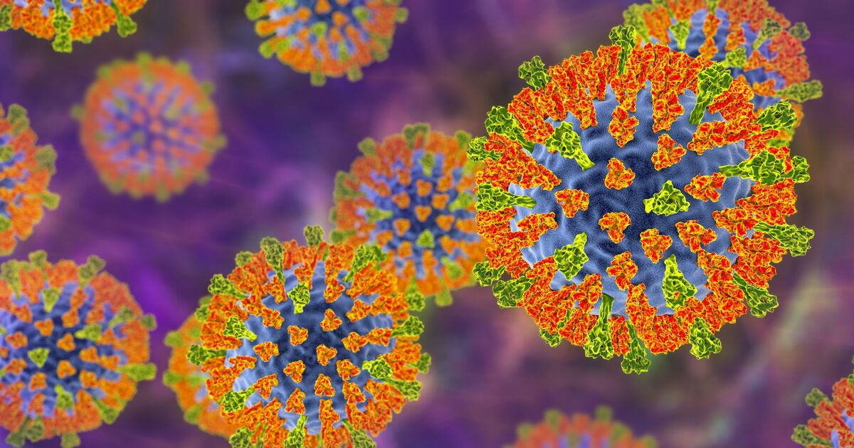 Top university confirms deadly Victorian disease on campus | US | News