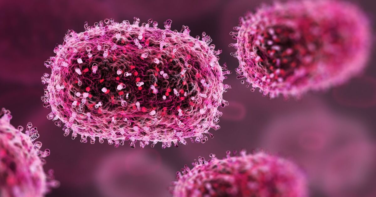 Hundreds hit by deadly virus outbreak with one group most vunerable | World | News