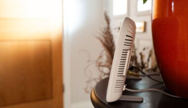 UK broadband provider collapses into administration - 'rats chewed up cables' | UK | News