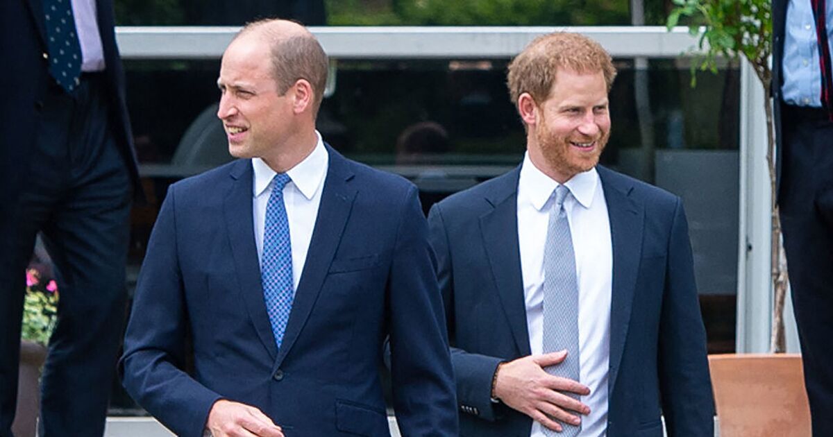 'Real reason' Prince William and Prince Harry are yet to reconcile as rift continues | Royal | News