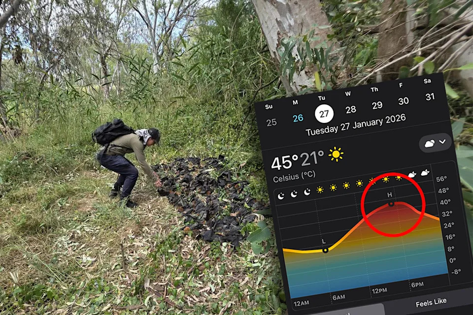 Background: A volunteer helping to clean up the bats at Brimbank Park. Inset: A temperature prediction for Tuesday, showing it will reach 45 degrees.