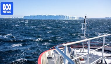 Australia investigating options to assist search for missing diver in Antarctica
