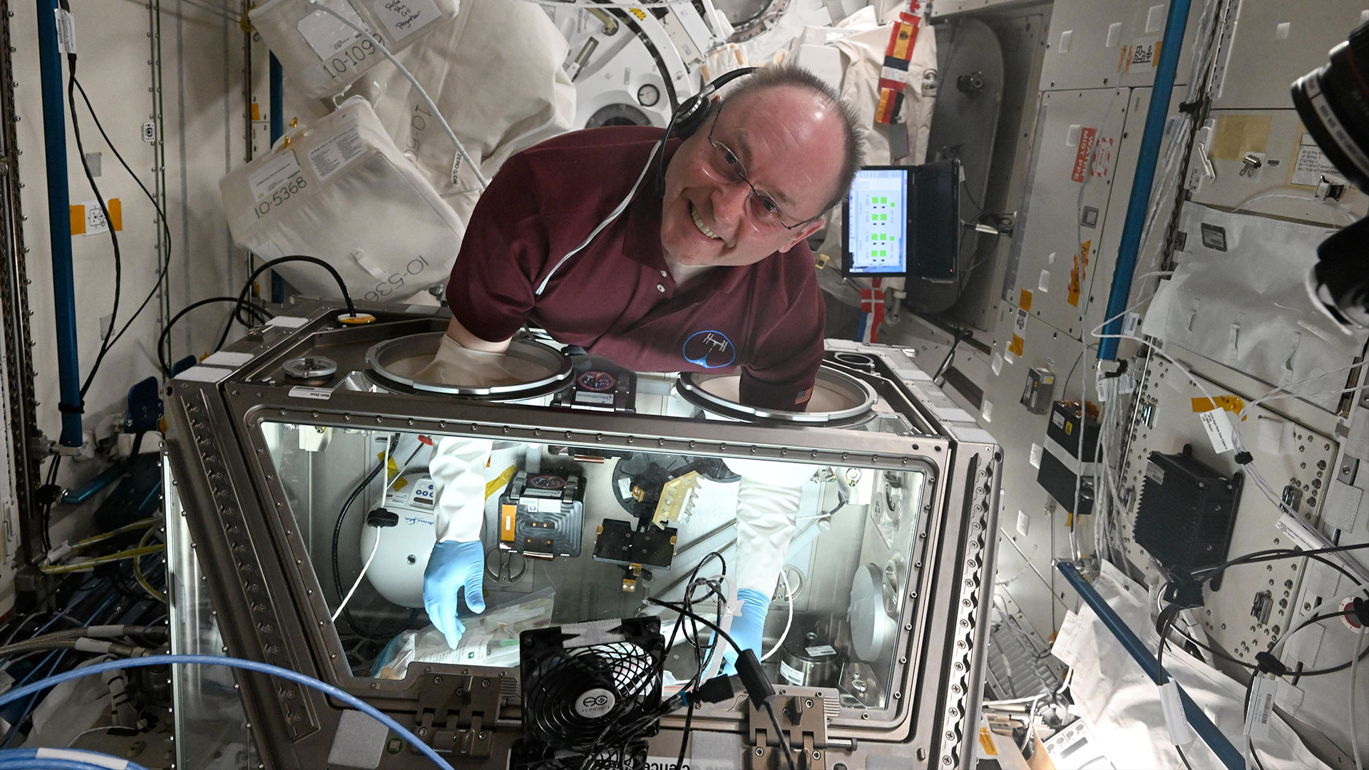 a man in a maroon short-sleeved shirt has his hands inserted into the plastic gloves of a microgravity science glovebox aboard a space station.